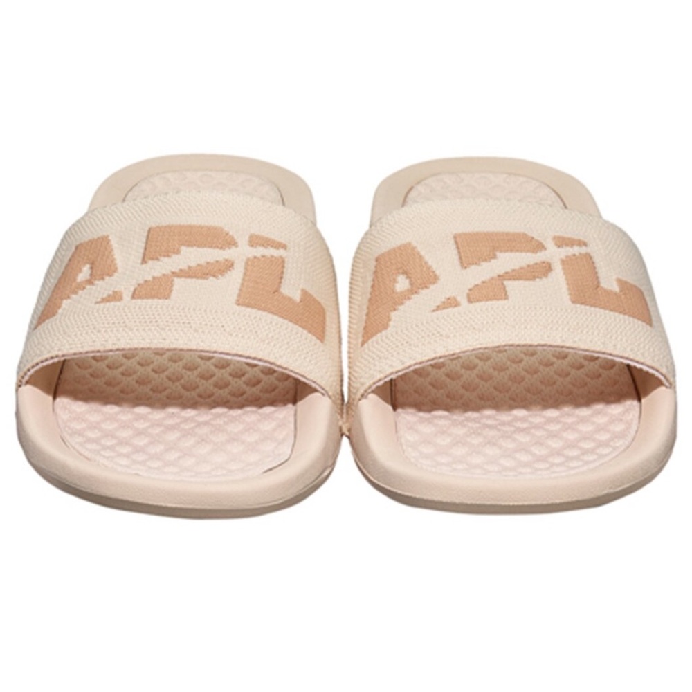 APL big logo techloom slides - 7